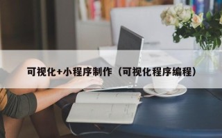 安宁可视化+小程序制作（可视化程序编程）